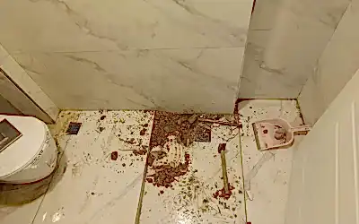 Su Kaçağı Tespiti Tamiri
